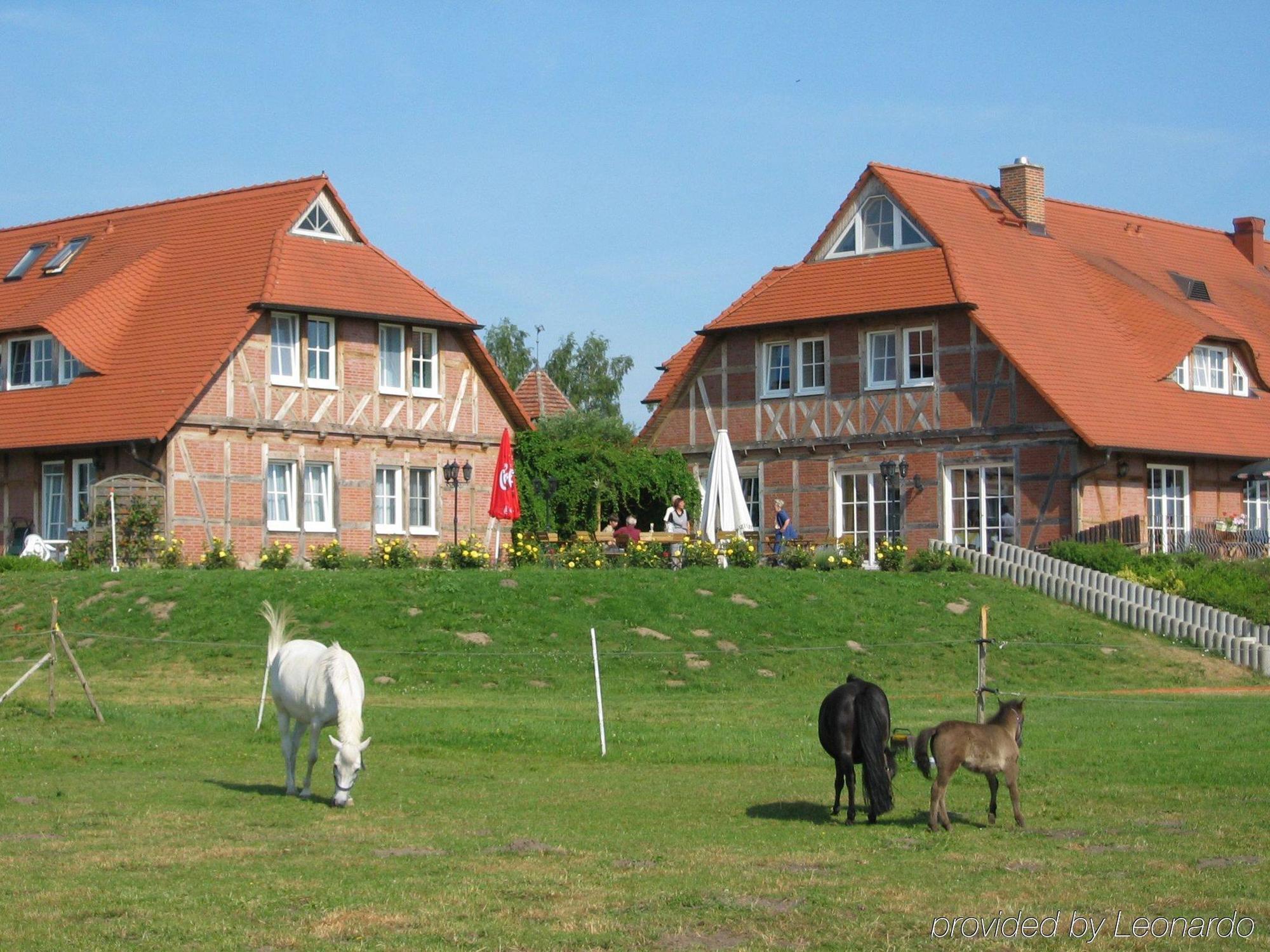 Flair Seehotel Zielow Ludorf Buitenkant foto
