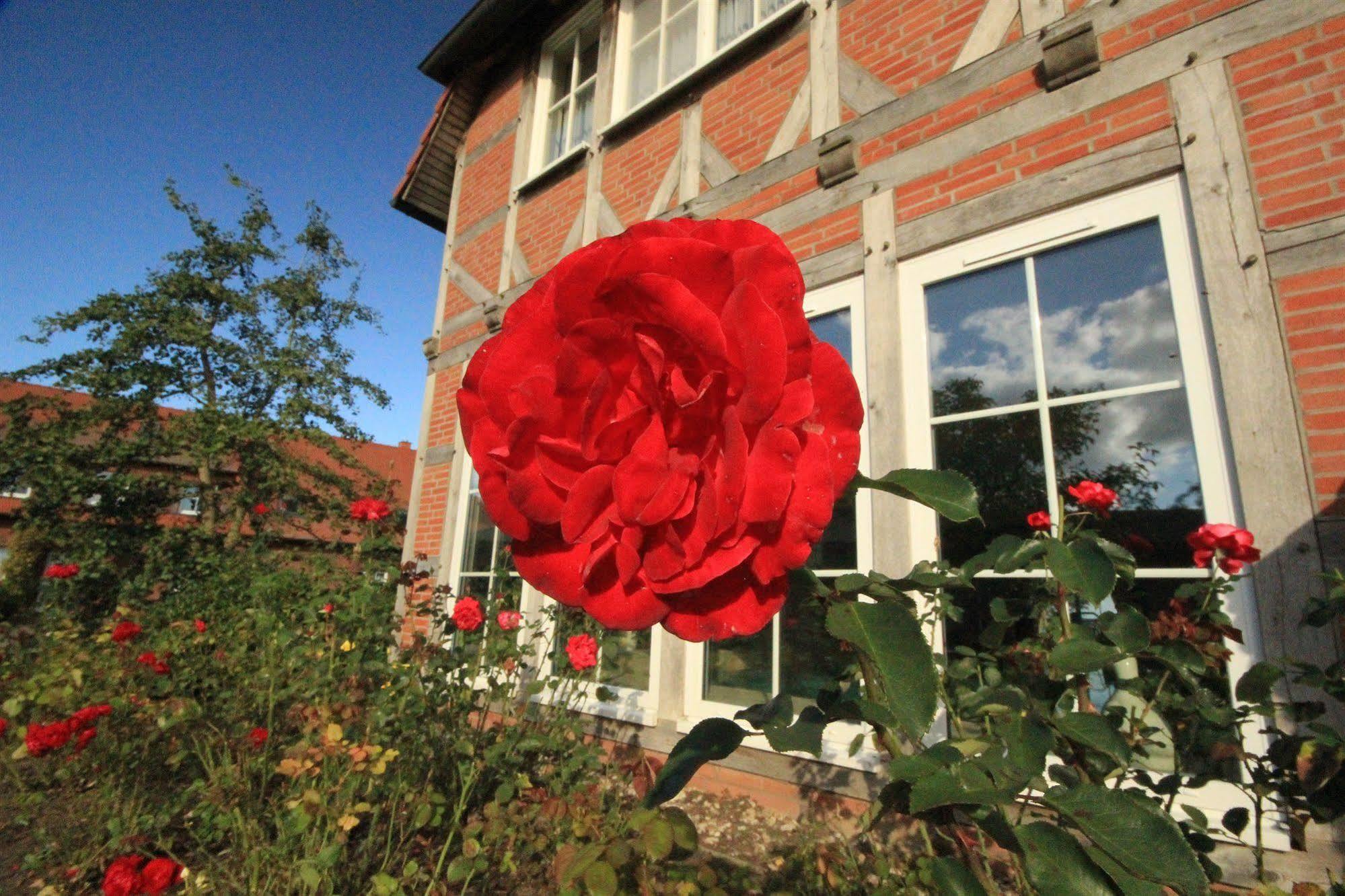 Flair Seehotel Zielow Ludorf Buitenkant foto